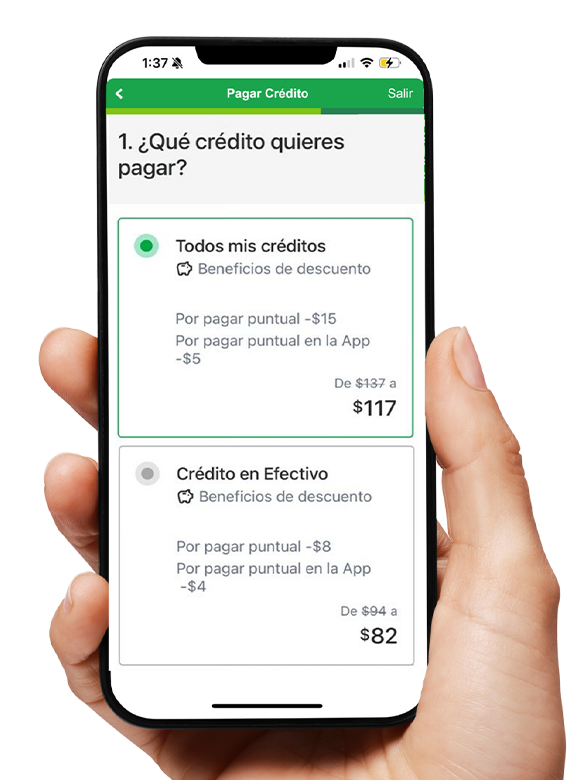 Pagos flexibles